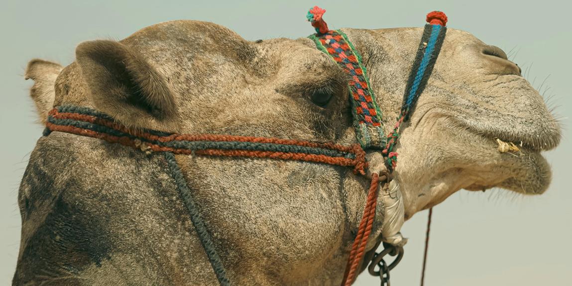 mizraim significa egipto antiguo