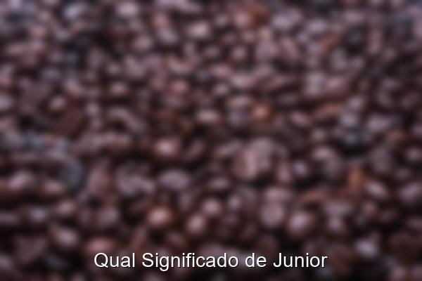 Qual Significado de Junior